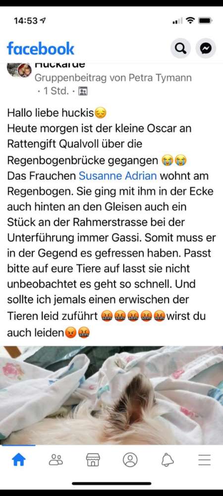 Giftköder-Rattengift-Profilbild