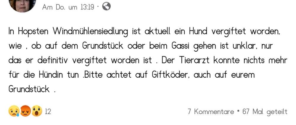 Giftköder-Giftköder im Windmühlenviertel-Profilbild