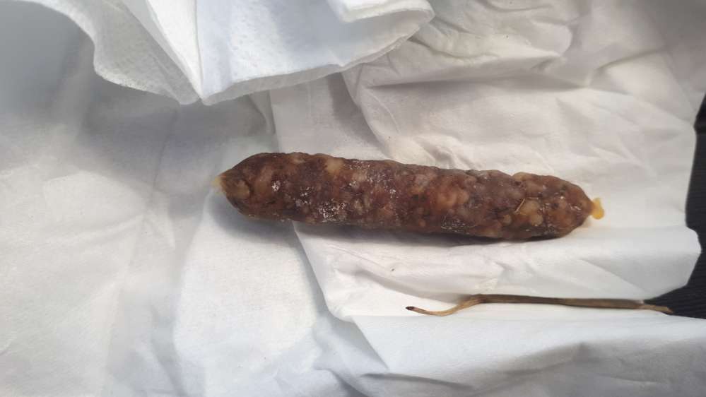 Giftköder-Ausgelegte Mini-Salamis-Profilbild