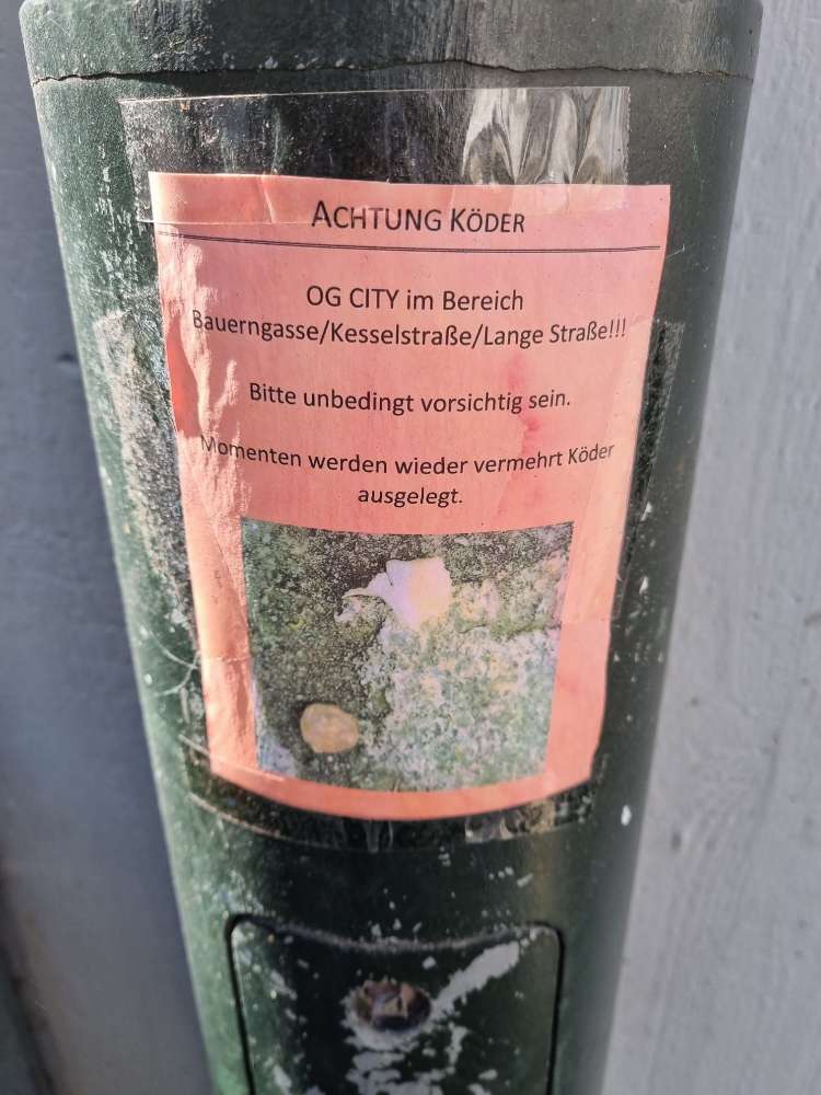 Giftköder-Giftköder!-Profilbild