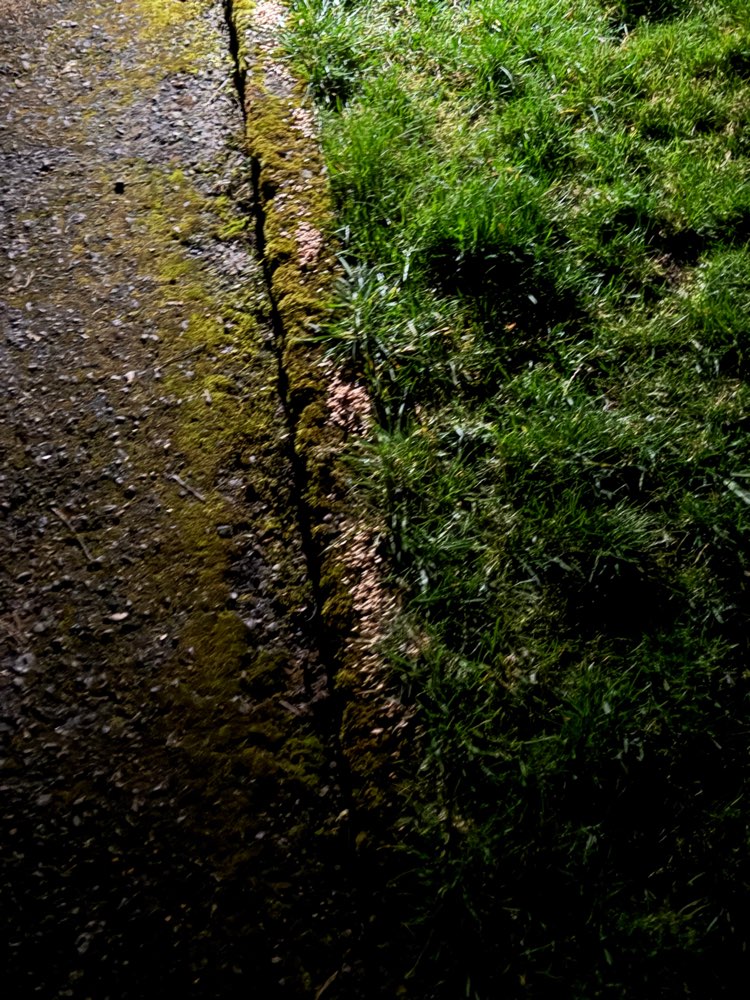 Giftköder-Unklare Substanz-Profilbild