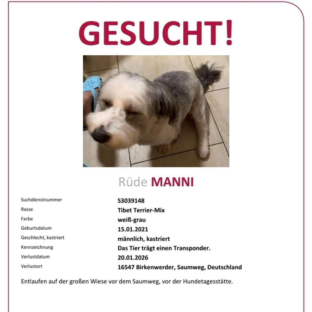 Suchmeldung-Manni-Profilbild