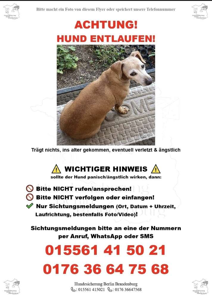 Suchmeldung-Maxi-Profilbild