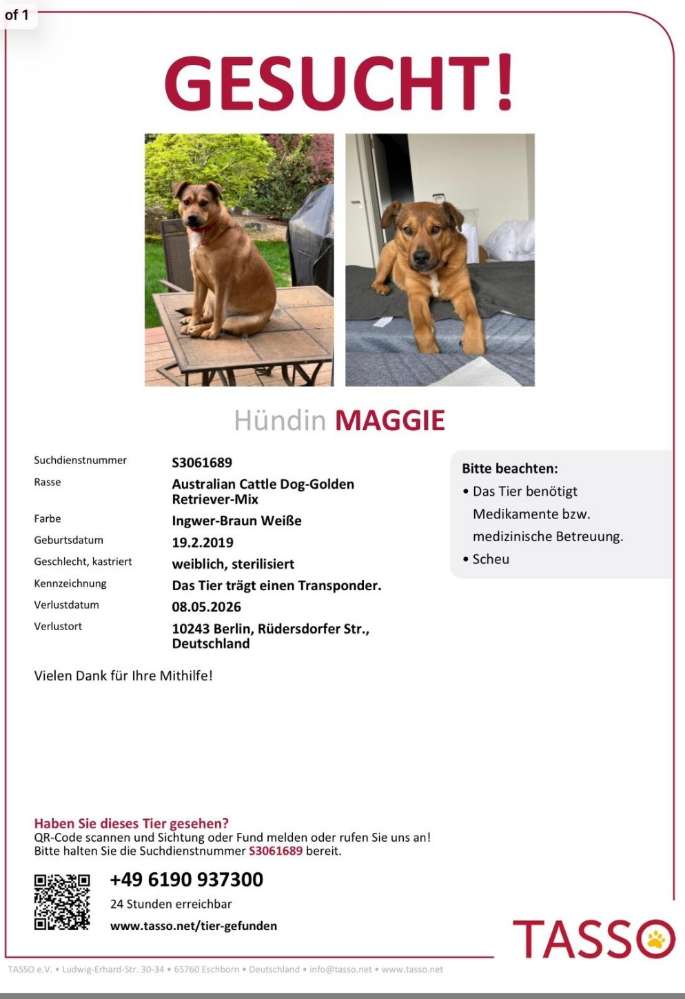 Suchmeldung-Maggie-Profilbild