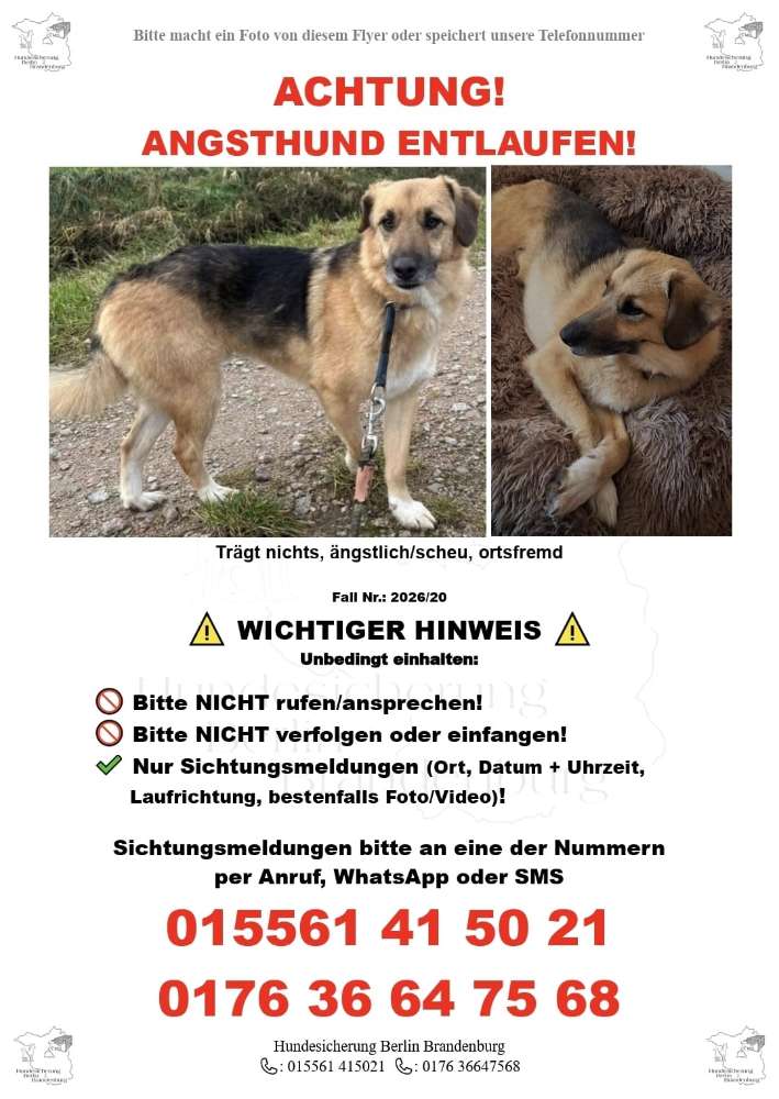 Suchmeldung-Angsthund-Profilbild