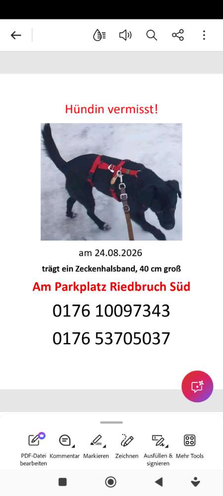 Suchmeldung-Nita-Profilbild