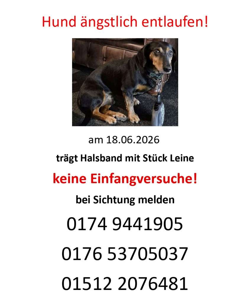 Suchmeldung-Bodo ängstlich-Profilbild