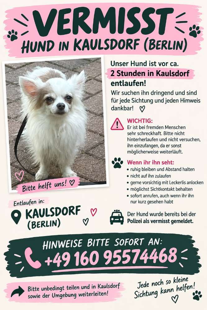 Suchmeldung-Willow Angsthund-Profilbild