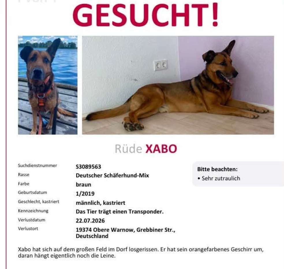Suchmeldung-Xabo-Profilbild