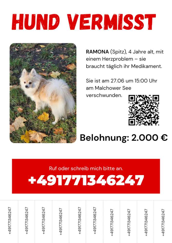 Giftköder-Hunde GESTOHLEN-Profilbild
