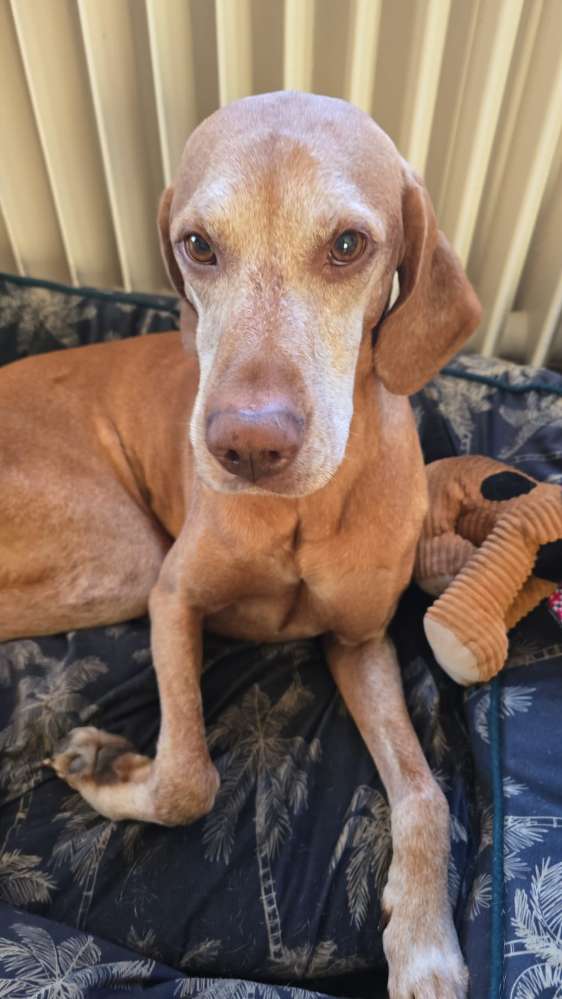 Suchmeldung-Arthas-Profilbild