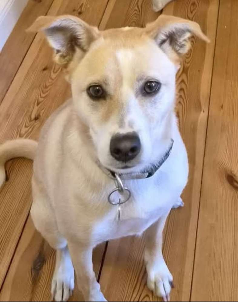 Suchmeldung-Sasha-Profilbild