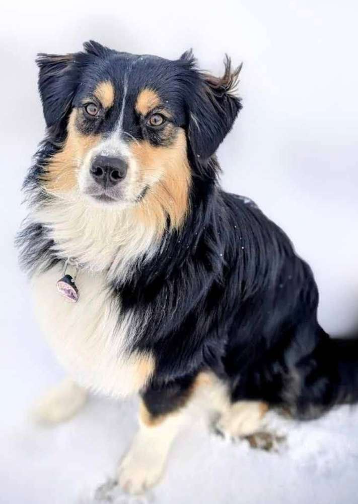 Suchmeldung-Maggie-Profilbild