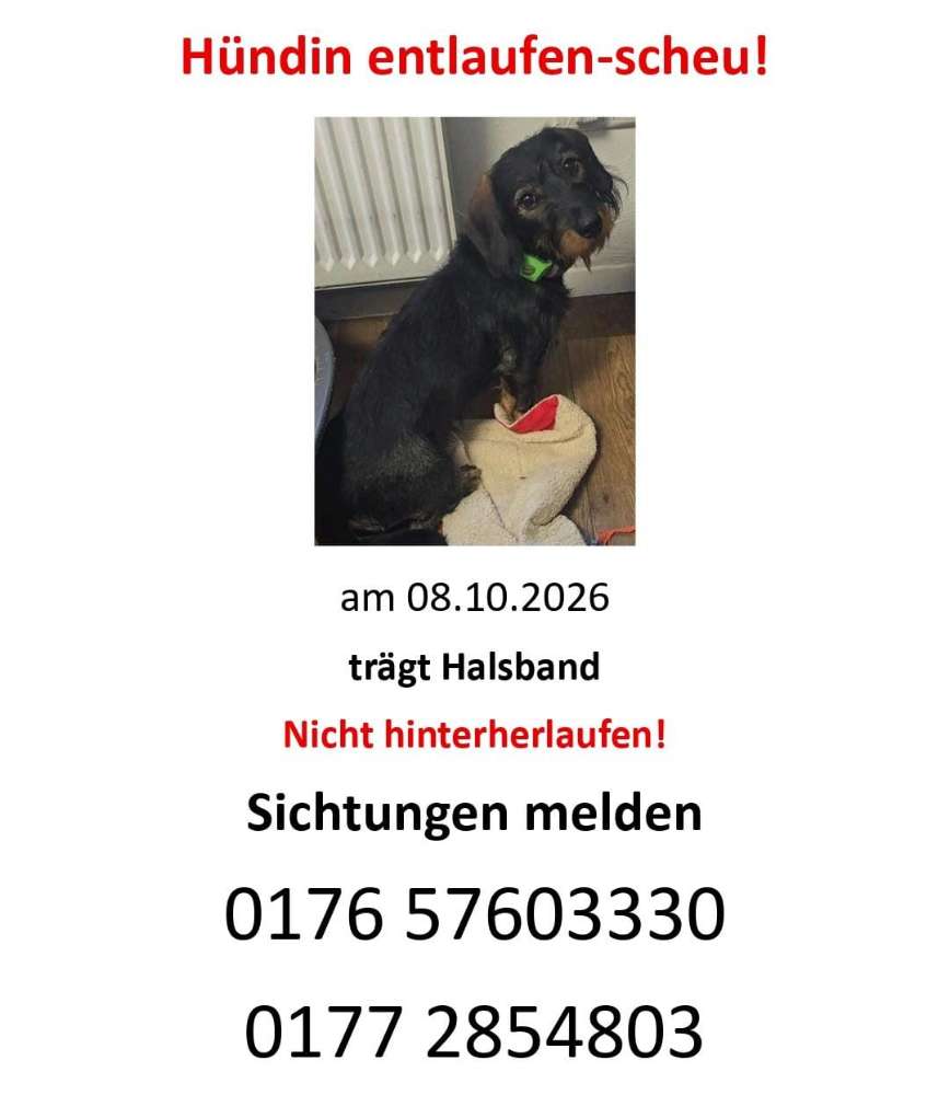 Suchmeldung-Frieda ängstlich-Profilbild