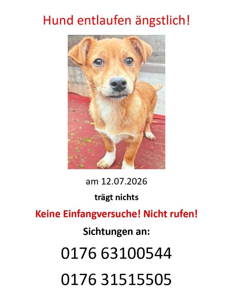 Suchmeldung-Oscar ängstlich-Profilbild