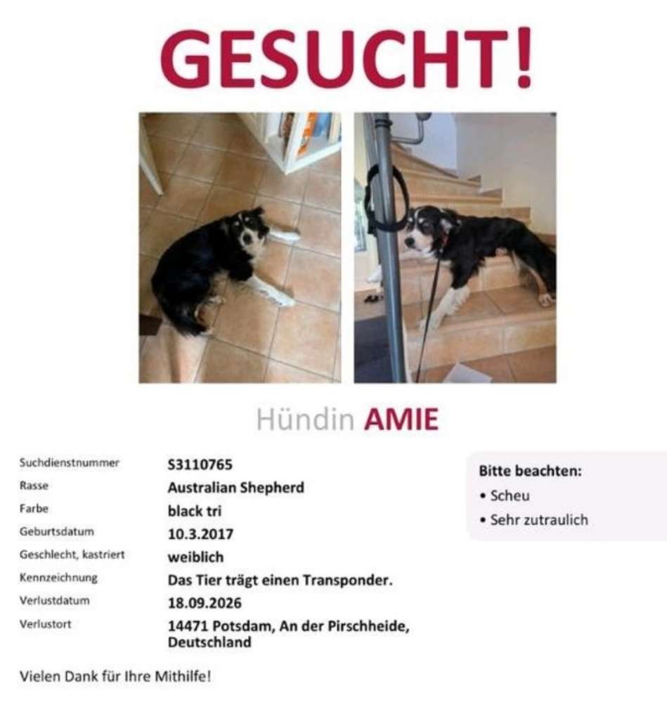 Suchmeldung-Amie ängstlich-Profilbild