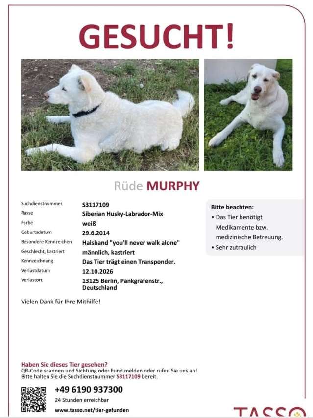 Suchmeldung-Murphy-Profilbild