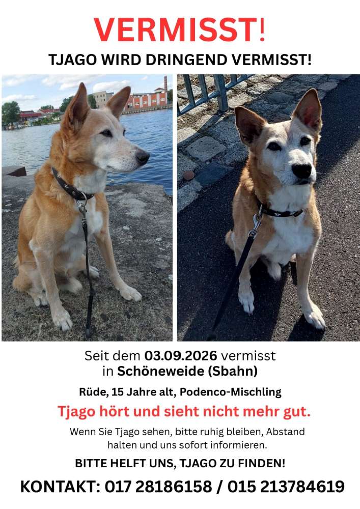 Suchmeldung-Tjago ängstlich-Profilbild
