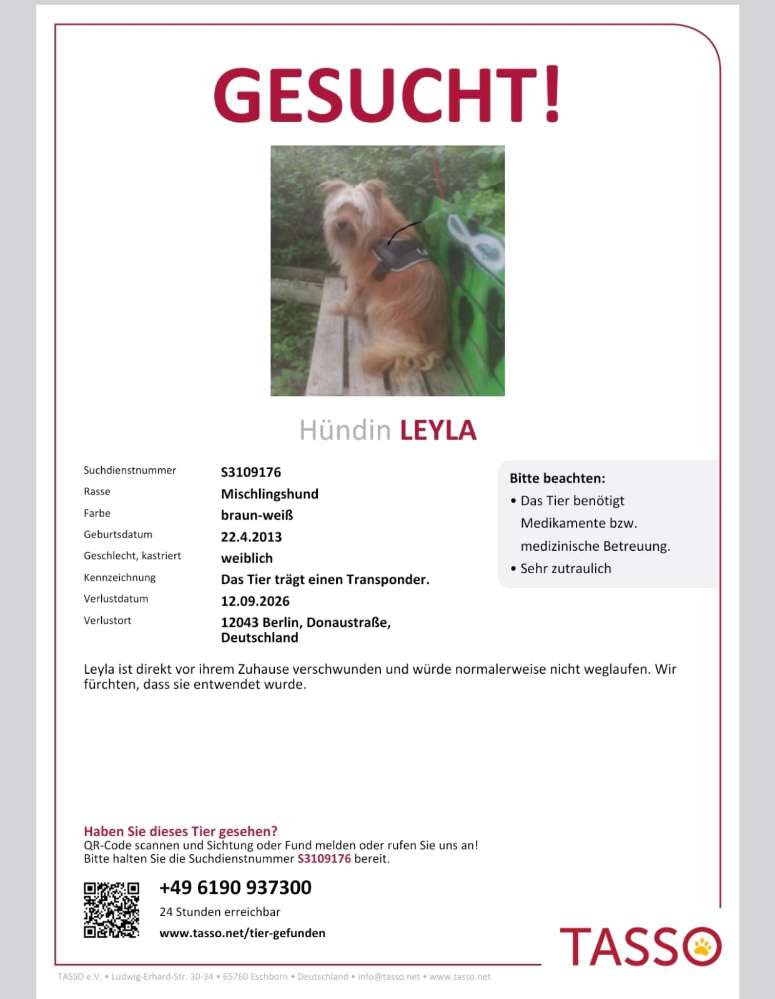 Suchmeldung-Leyla-Profilbild