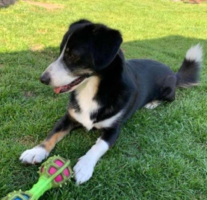 Suchmeldung-Lenny-Profilbild