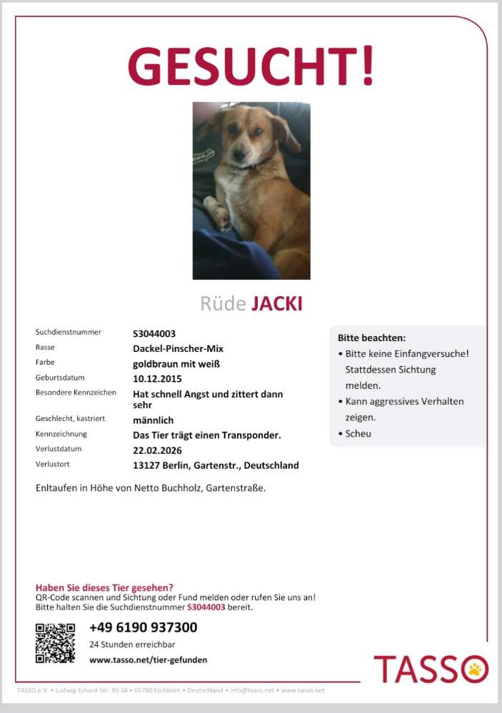 Suchmeldung-Jacki-Profilbild