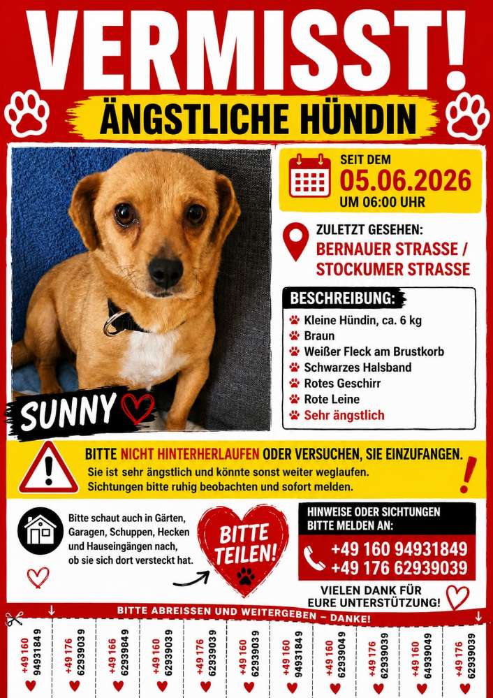 Suchmeldung-Sunny Angsthündin-Profilbild