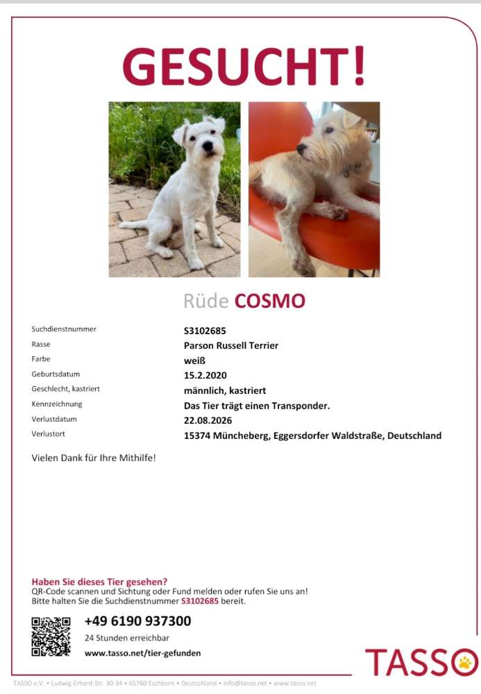 Suchmeldung-Cosmo-Profilbild