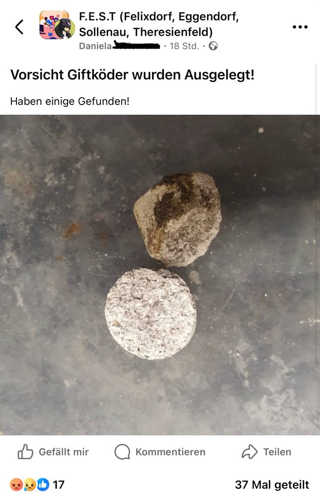 Giftköder-(Vermutlich) Rattengift-Profilbild