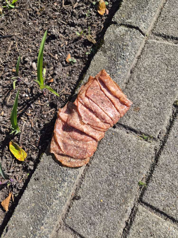 Giftköder-Giftköder!! Nur ein Verdacht-Profilbild