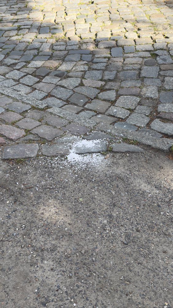 Giftköder-Weißes Pulver / Dünger oder Schneckenkor-Profilbild