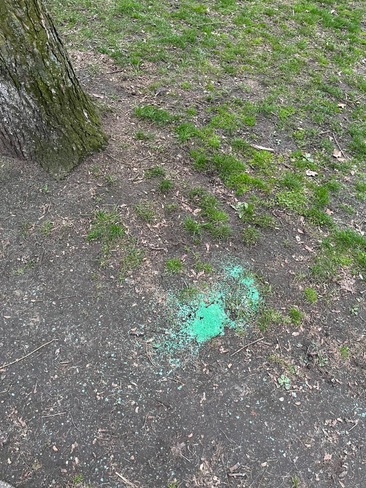 Giftköder-Grünes Pulver über der gesamten Wiese-Profilbild