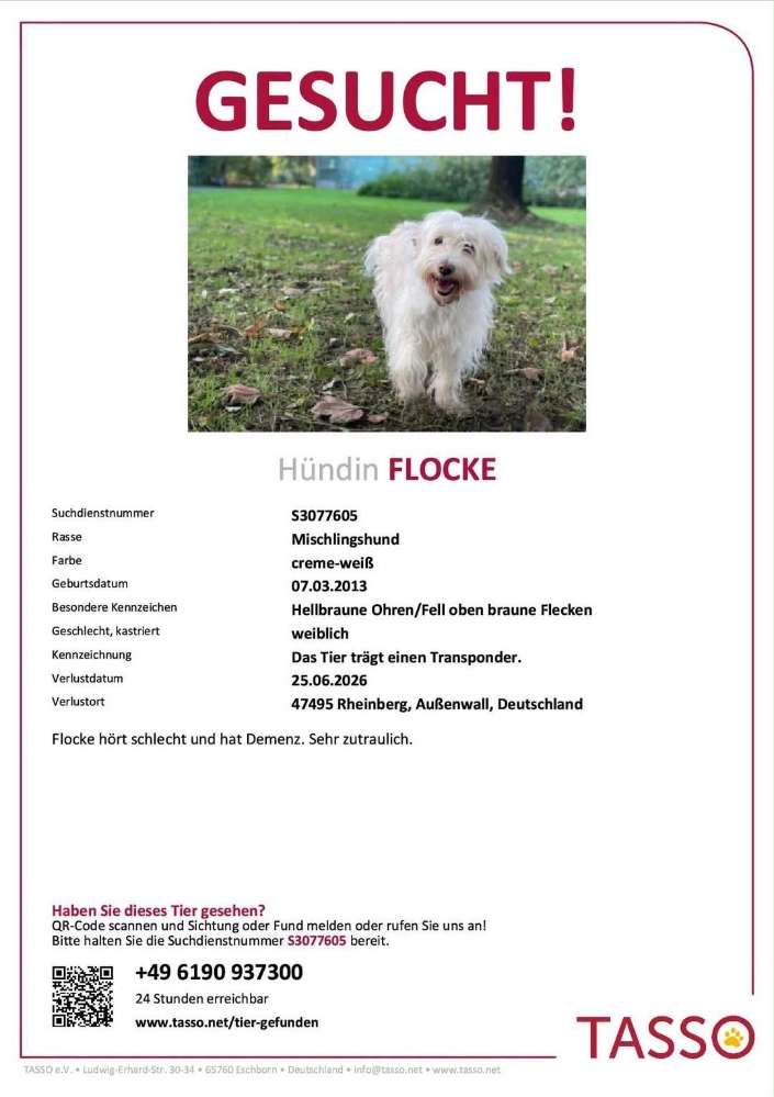 Suchmeldung-Flocke-Profilbild