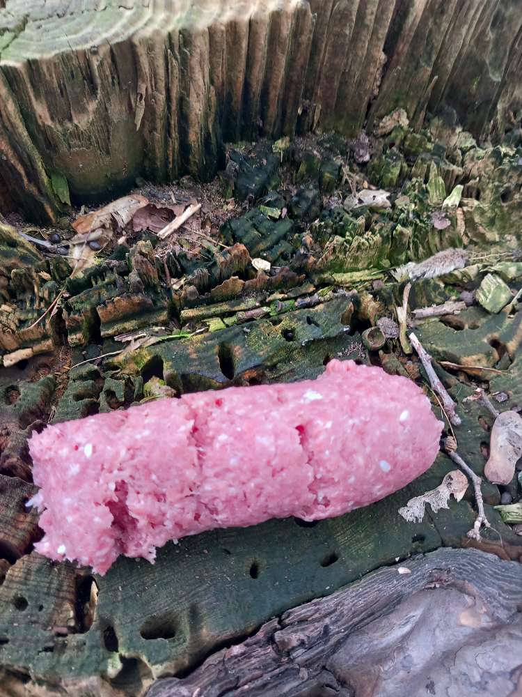 Giftköder-Giftköder-Profilbild