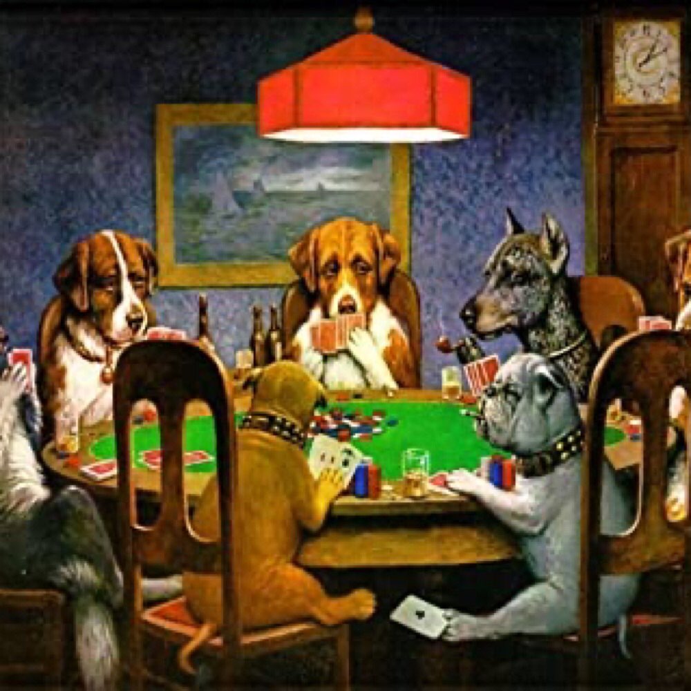 Hundetreffen-Spielenrunde unter Junghunden-Profilbild