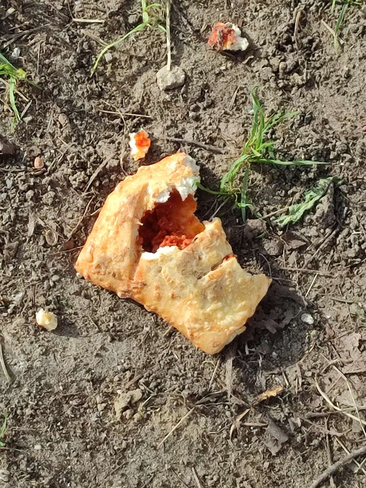 Giftköder-Gebäck-Profilbild