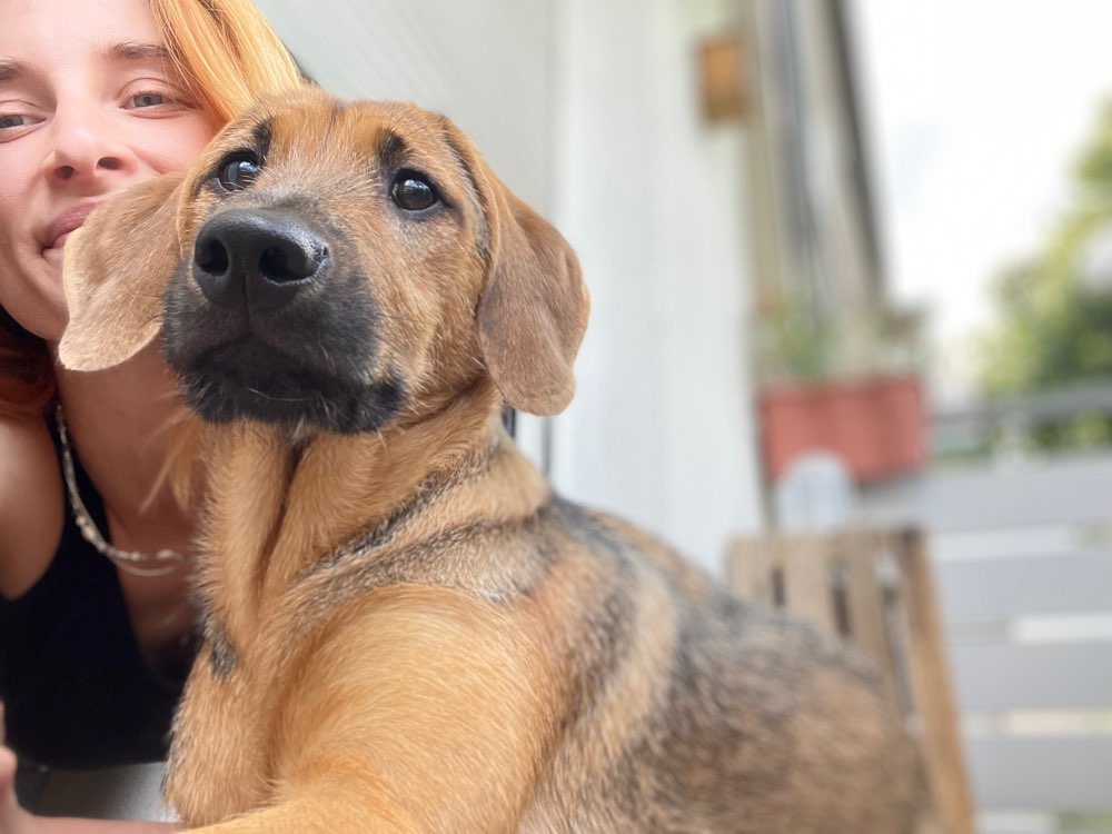 Hundetreffen-Zusammen Spielen 😌-Profilbild