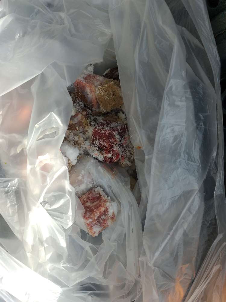 Giftköder-Giftköder-Profilbild