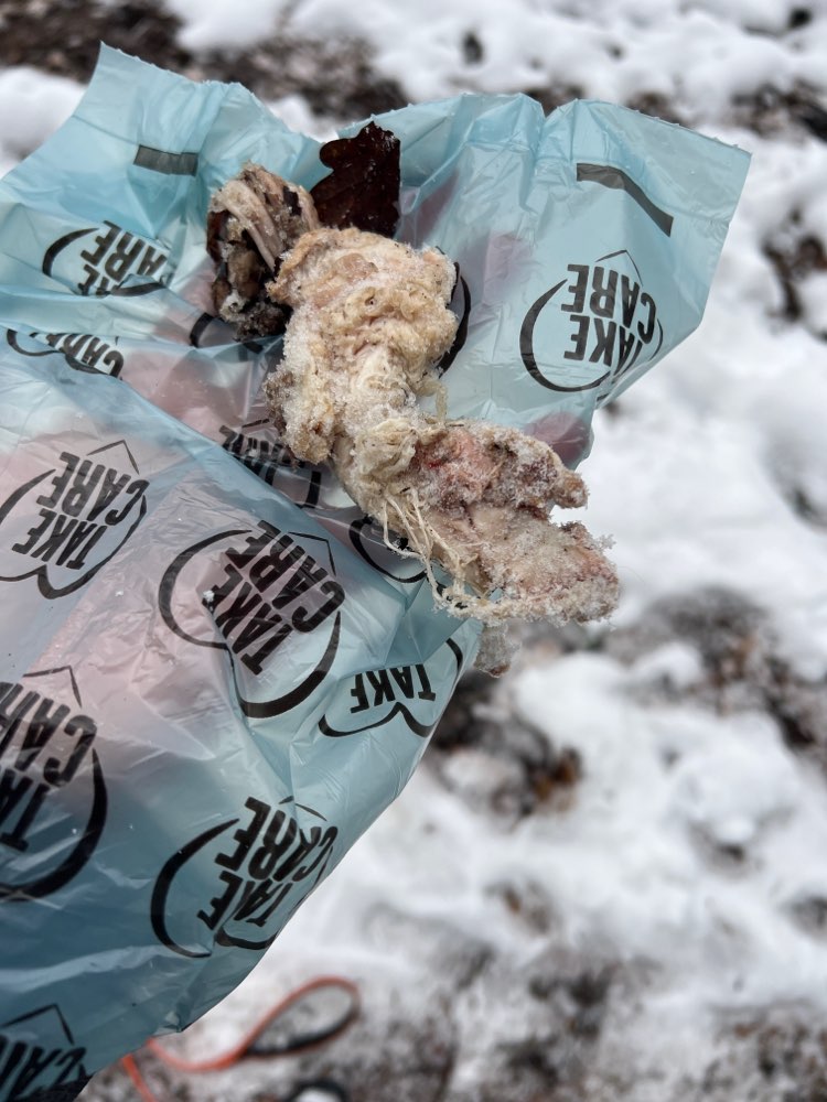 Giftköder-Fleischstück bei Sportplatz-Profilbild