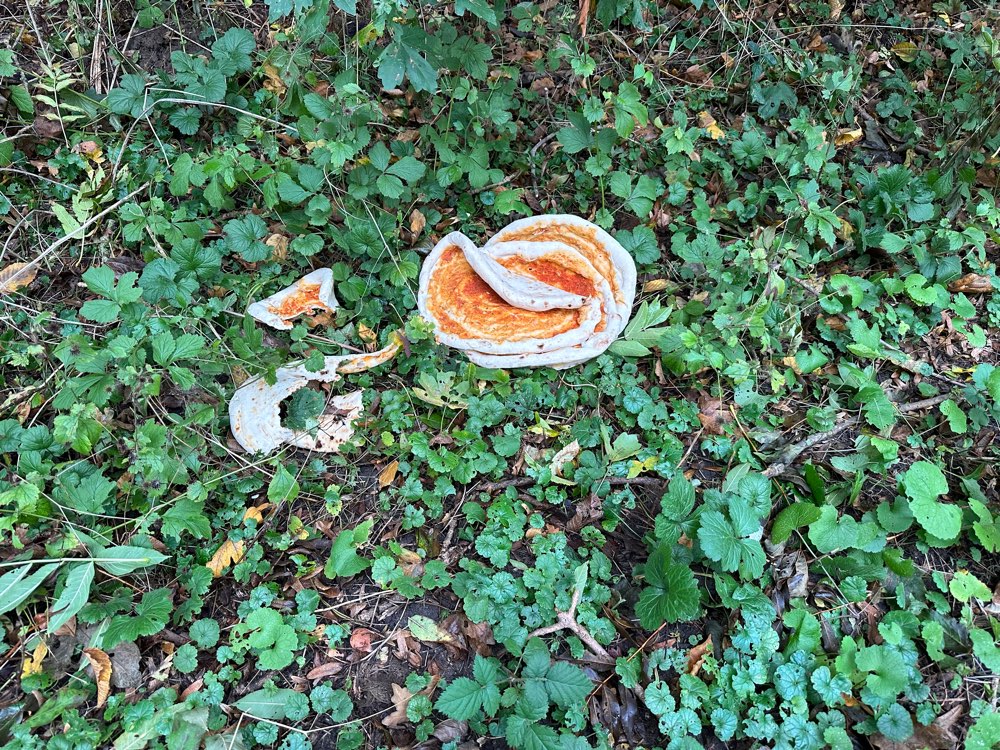 Giftköder-Pizza im Gebüsch-Profilbild