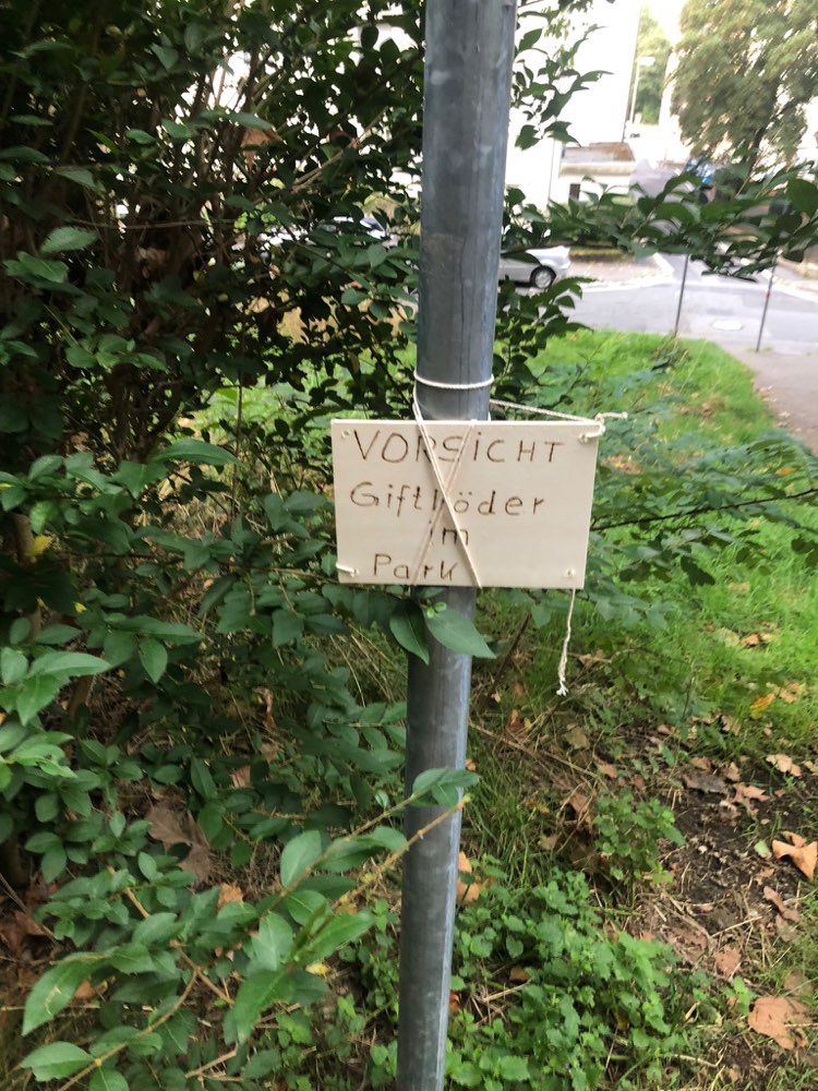 Giftköder-Hackbällchen (Giftköder-Warnschild)-Profilbild