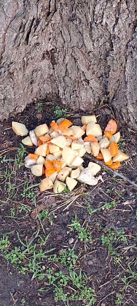 Giftköder-Potenzieller Giftköder-Profilbild