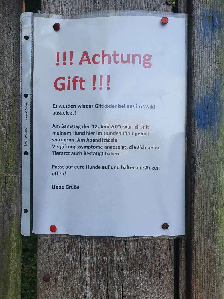 Giftköder-Gift ausgelegt-Profilbild