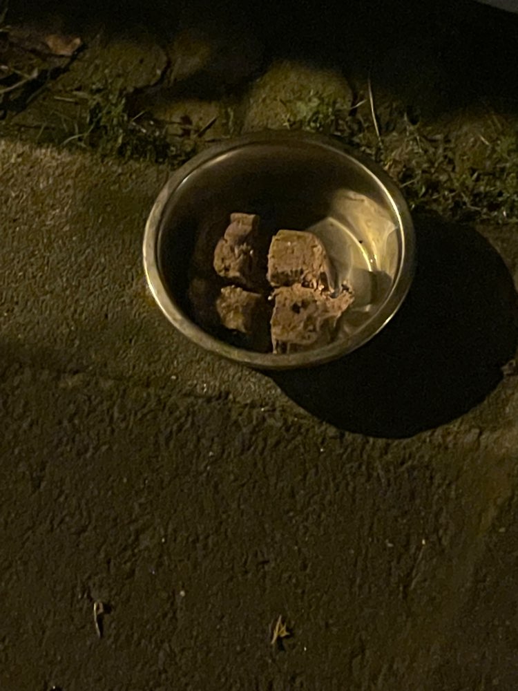 Giftköder-Möglicher Giftköder-Profilbild