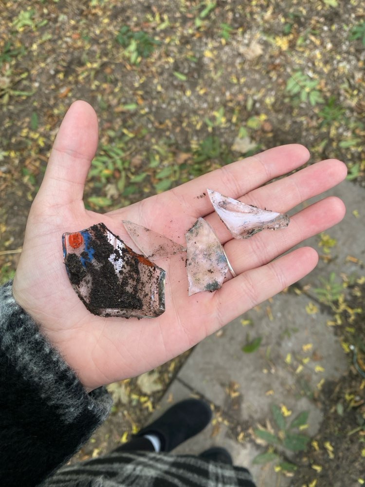 Giftköder-Scherben im Auslauf-Profilbild