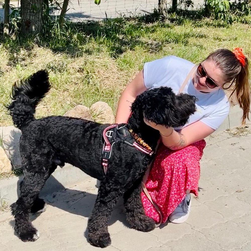 Hundetreffen-Hundefreunde gesucht 🐶-Profilbild