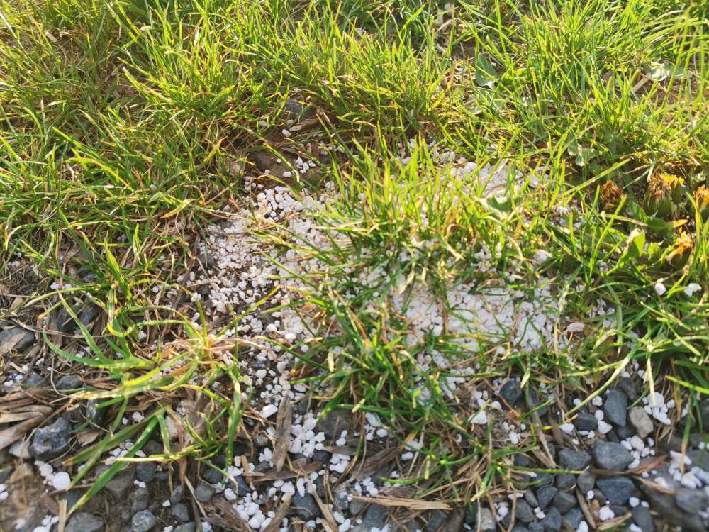 Giftköder-Weißes Pulver Burgholzhausen-Profilbild