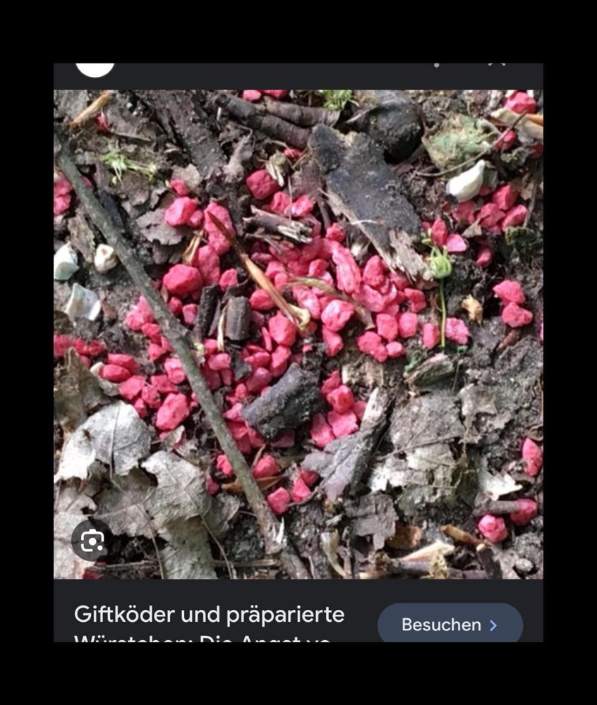 Giftköder-Rattengift Gartenstadt-Profilbild