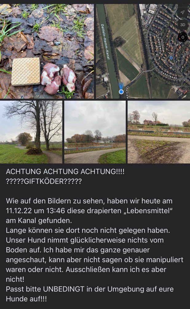 Giftköder-"Drapierte Lebensmittel "-Profilbild