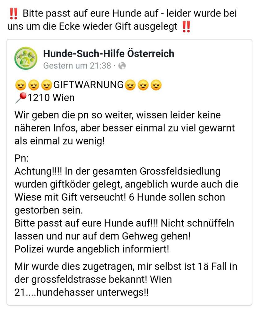 Giftköder-Giftköder-Profilbild