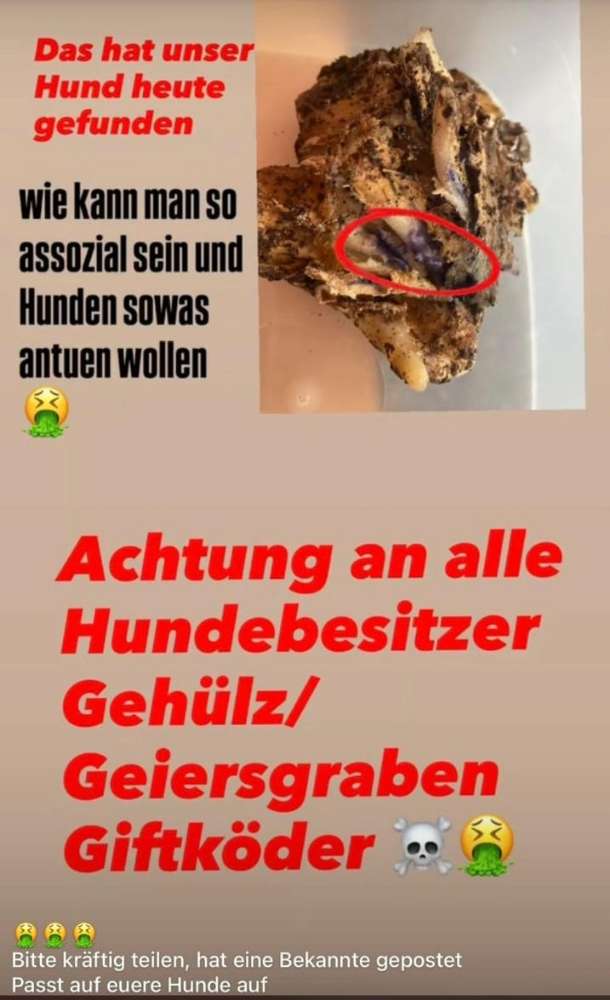 Giftköder-Giftköder-Profilbild